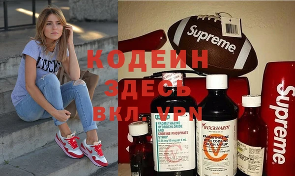 мдпв Инта