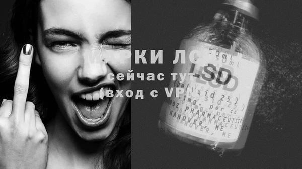 мдпв Инта